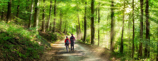 Richard Gorra walking on a nature trail in Minnesota